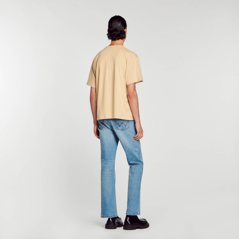 Sandro Oversized T-shirt Beige | SN-SDO65098